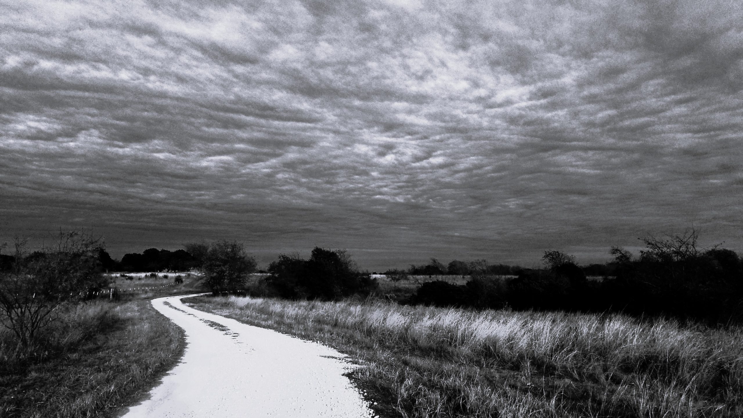 HighHope_west-side